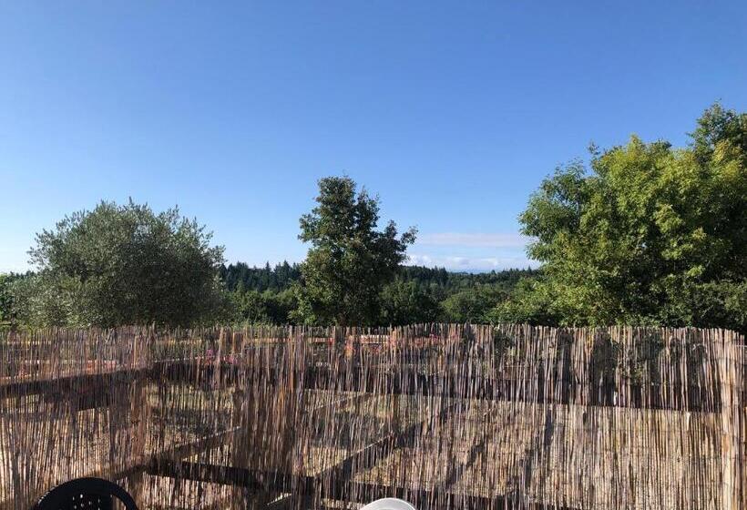 Bed and Breakfast Chambres D Hotes Labatut