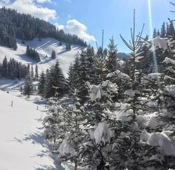 تختخواب و صبحانه Csángó Panoráma