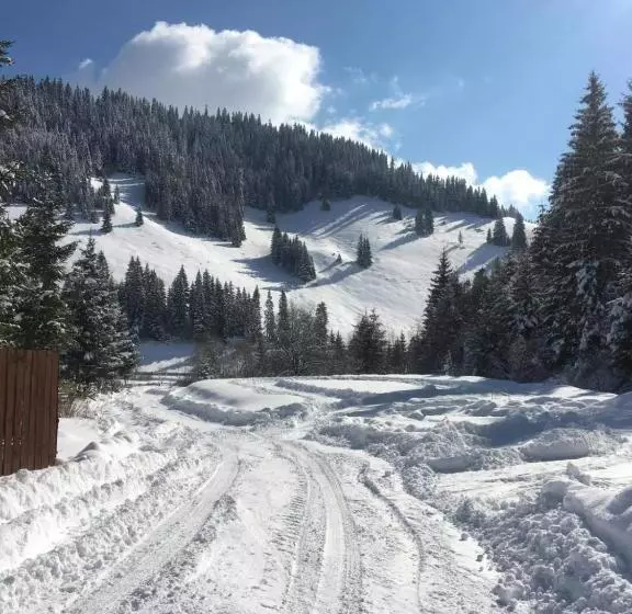 تختخواب و صبحانه Csángó Panoráma