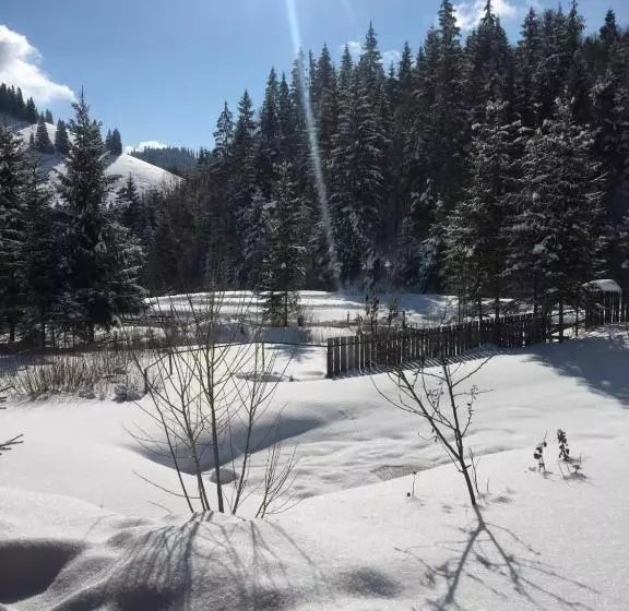 تختخواب و صبحانه Csángó Panoráma