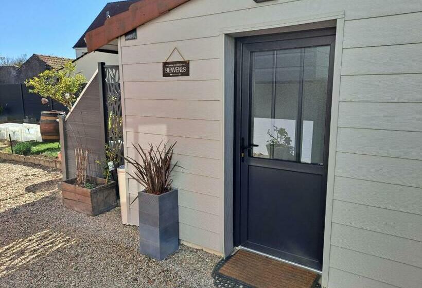 Hotel a Capsule Grain De Folie