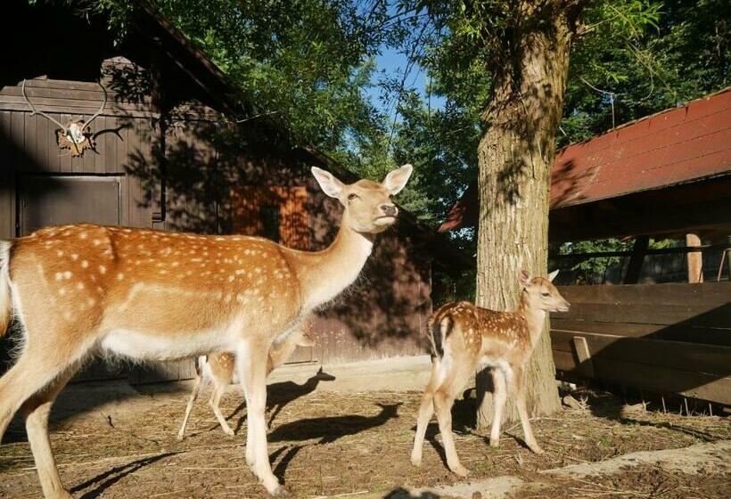 ペンション Penzion Obora