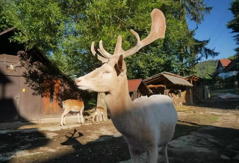Majatalo Penzion Obora
