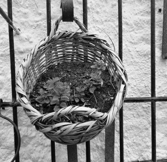 Bed and Breakfast Casa Proyecto Pepe Bravo Arte De Manos Y Corazón