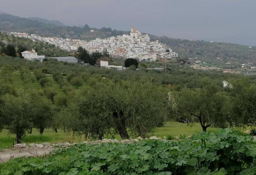 Bed and Breakfast Casa Proyecto Pepe Bravo Arte De Manos Y Corazón