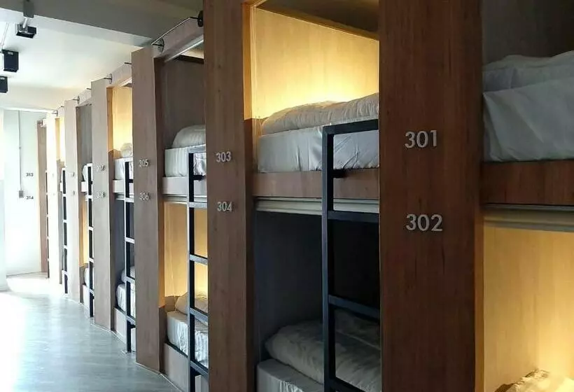 هاستل Little One