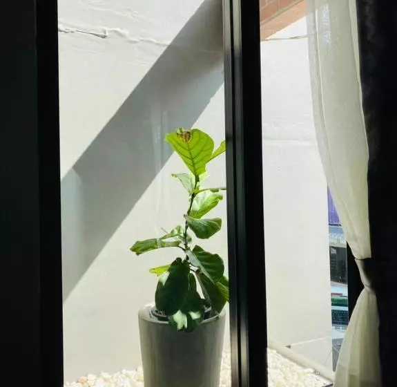 هاستل Little One