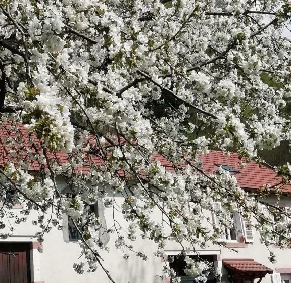 Bed and Breakfast La Mansarde Aux Digitales