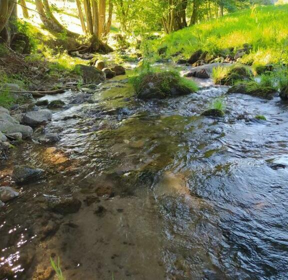 Bed and Breakfast La Mansarde Aux Digitales