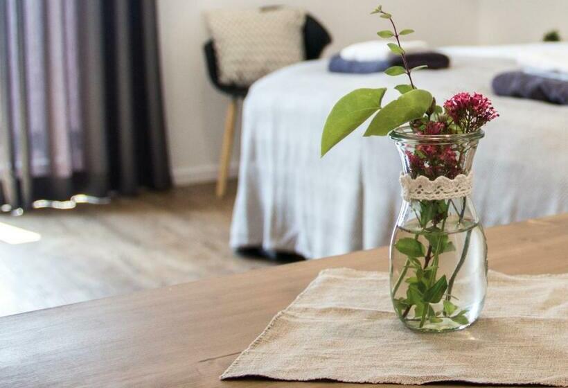 فندق Alte Schmiede