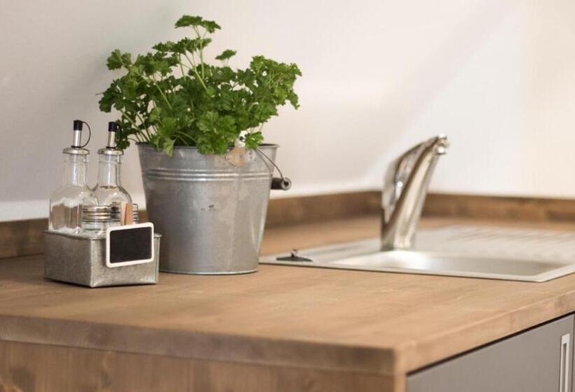 فندق Alte Schmiede