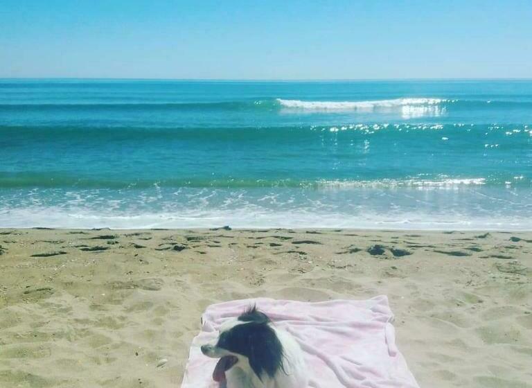 Pension (Hôtel basse catégorie) Hostal Nuzha