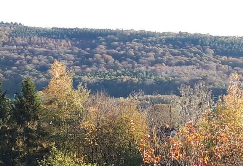 پانسیون Le Coeur Sur La Main