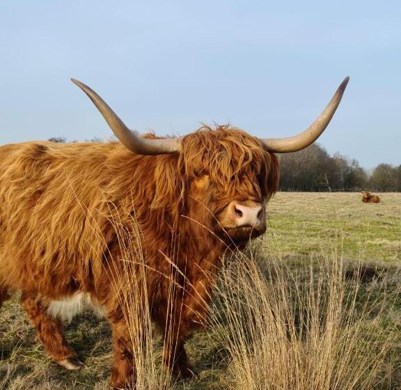 펜션 Studio In Rietgedekte Boerderij, Geheel Privé, Hond Vriendelijk