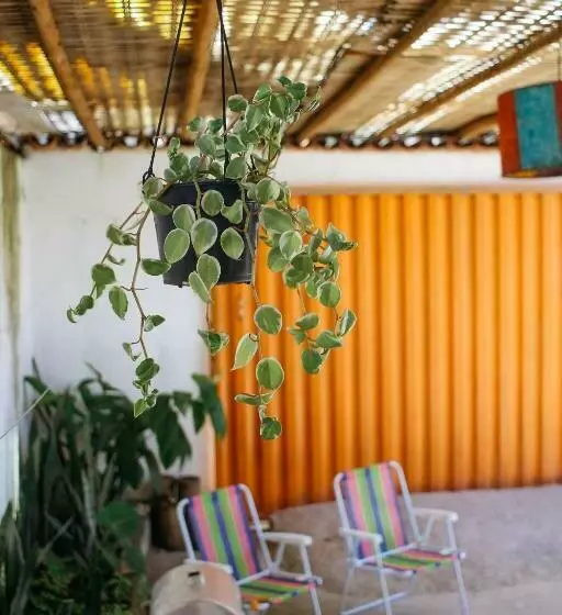 Odoyá Casa Hostel   Simples, Tranquilo E Bem Localizado