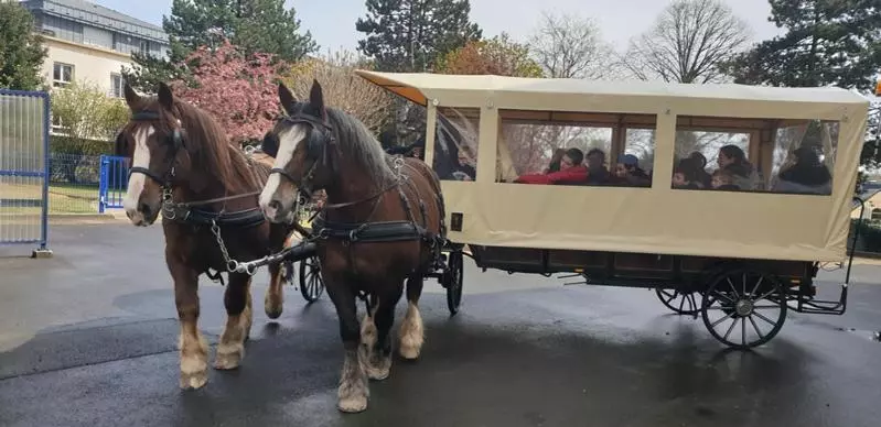 Aamiaismajoitus (B&B) Chez Jollyjune, à Moins D Une Heure Du Mont Saint Michel