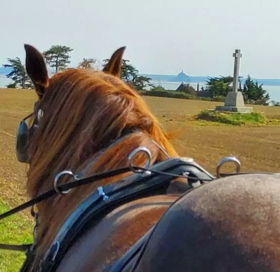 Aamiaismajoitus (B&B) Chez Jollyjune, à Moins D Une Heure Du Mont Saint Michel