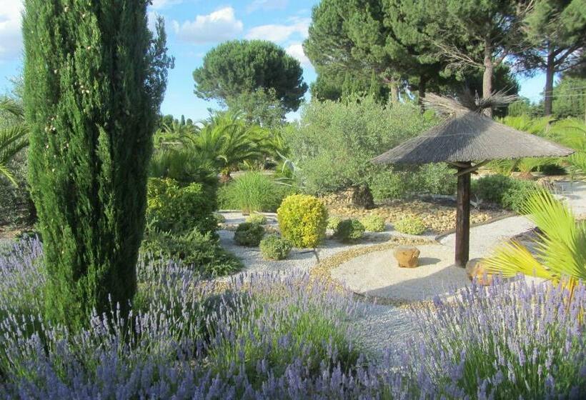 住宿加早餐  La Palmeraie