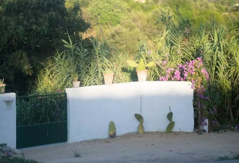 پانسیون Casa Da Cabeça