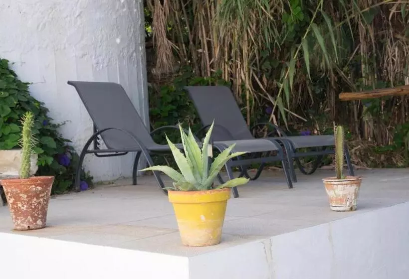 پانسیون Casa Da Cabeça