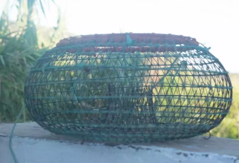 پانسیون Casa Da Cabeça