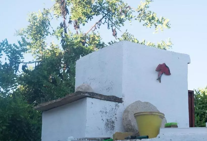 پانسیون Casa Da Cabeça