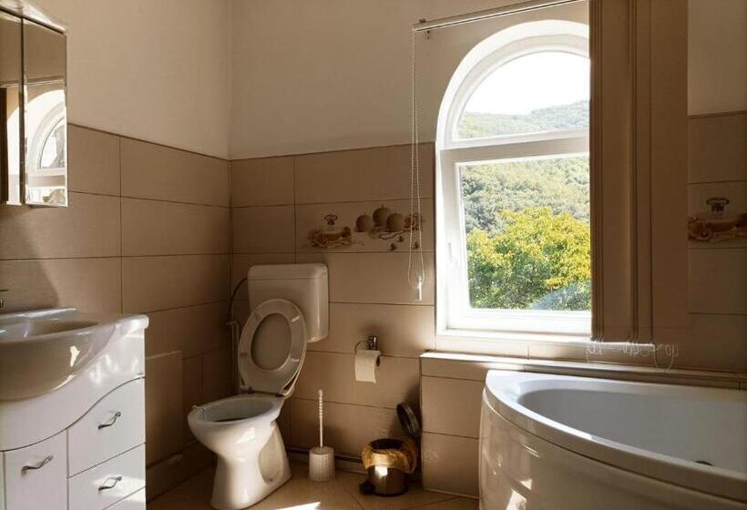 پانسیون Casa Victoria Anina