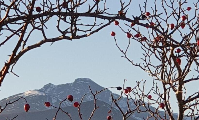 فندق Oceano Verde