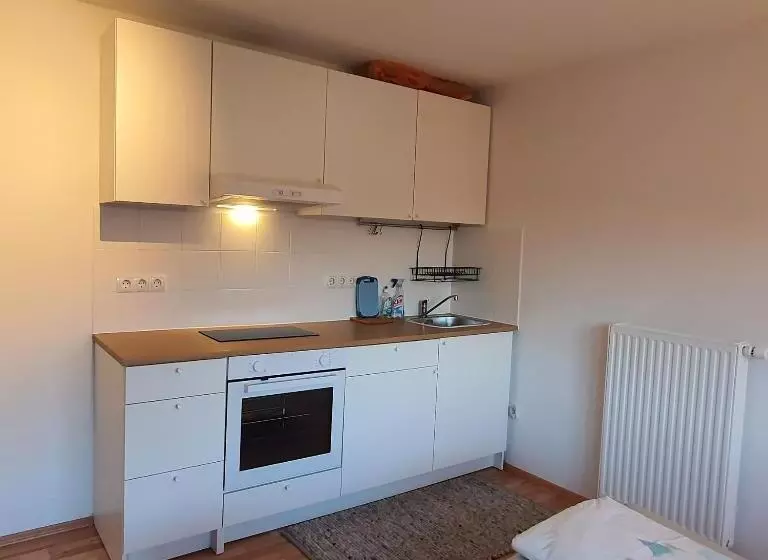 ペンション Apartments Cheztom Nenzing