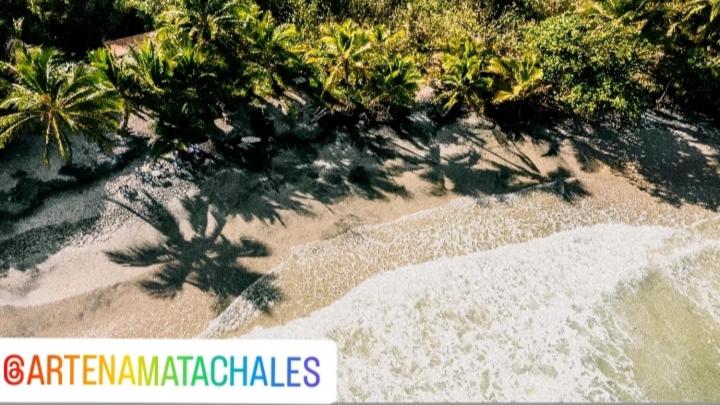 بنسيون Art Jungle Eco Lodge