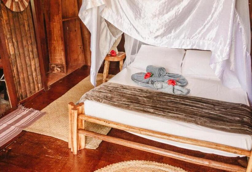 بنسيون Art Jungle Eco Lodge