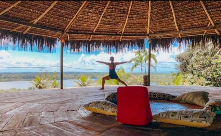 بنسيون Art Jungle Eco Lodge