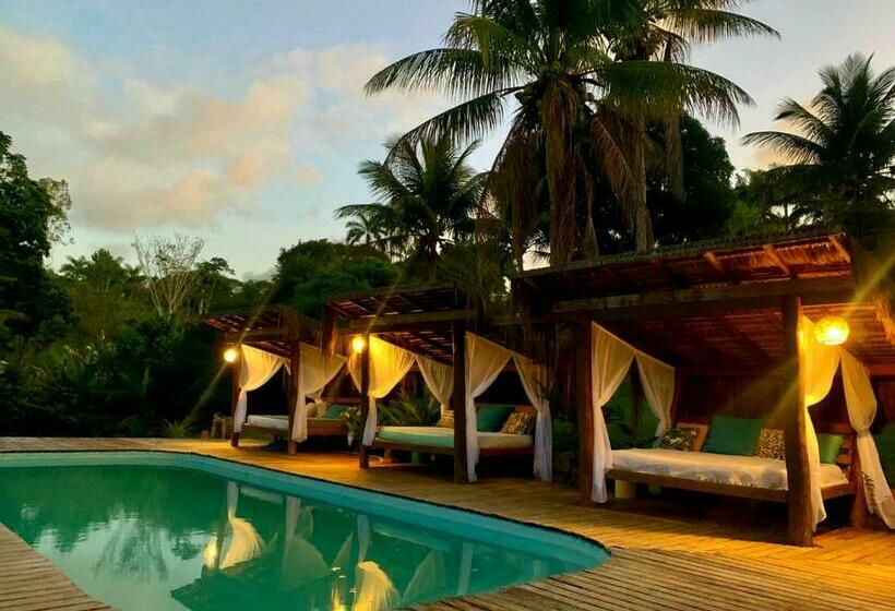 بنسيون Art Jungle Eco Lodge