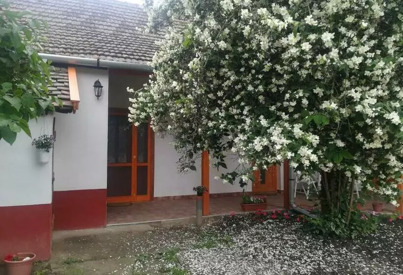 Majatalo Négy Tücsök Vendégház