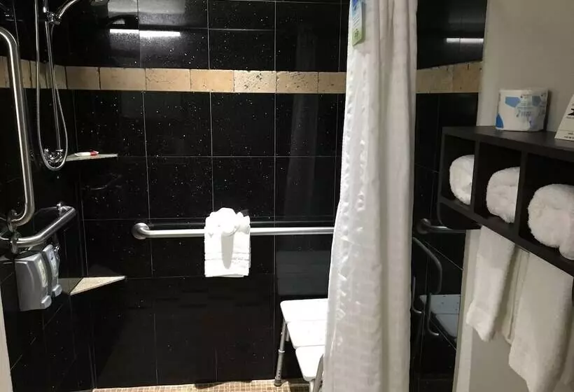 ホテル Days Inn & Suites By Wyndham Bonita Springs North Naples