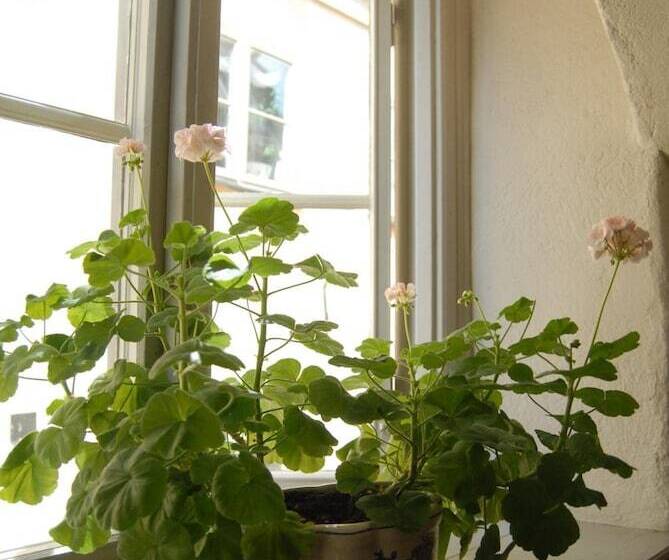 هتل Sven Vintappare