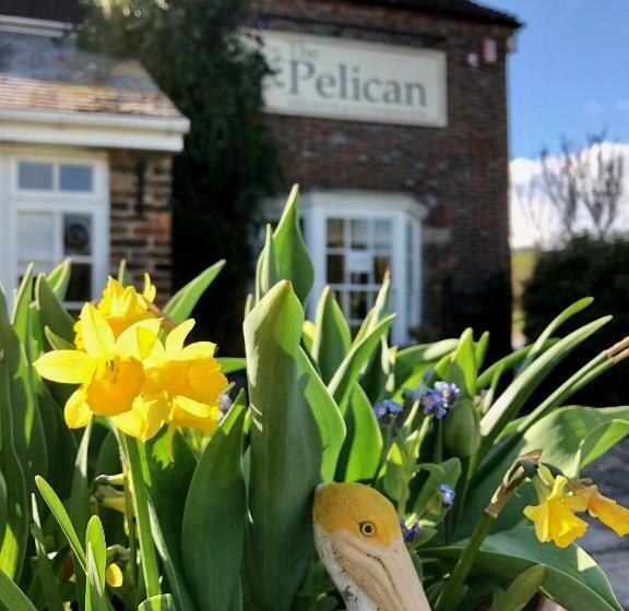 호스텔 The Pelican Inn