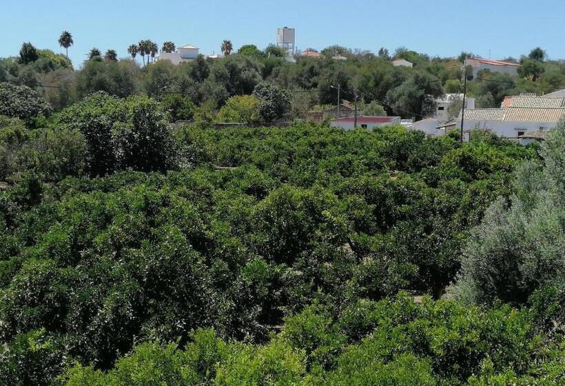 بنسيون Villa Cerro E Mar