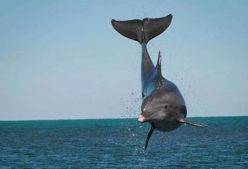 ペンション Villa Cerro E Mar