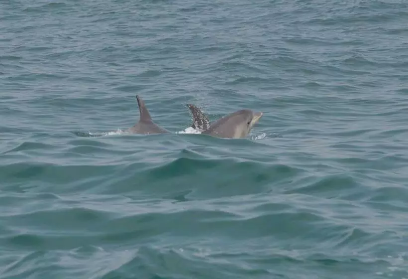 ペンション Villa Cerro E Mar