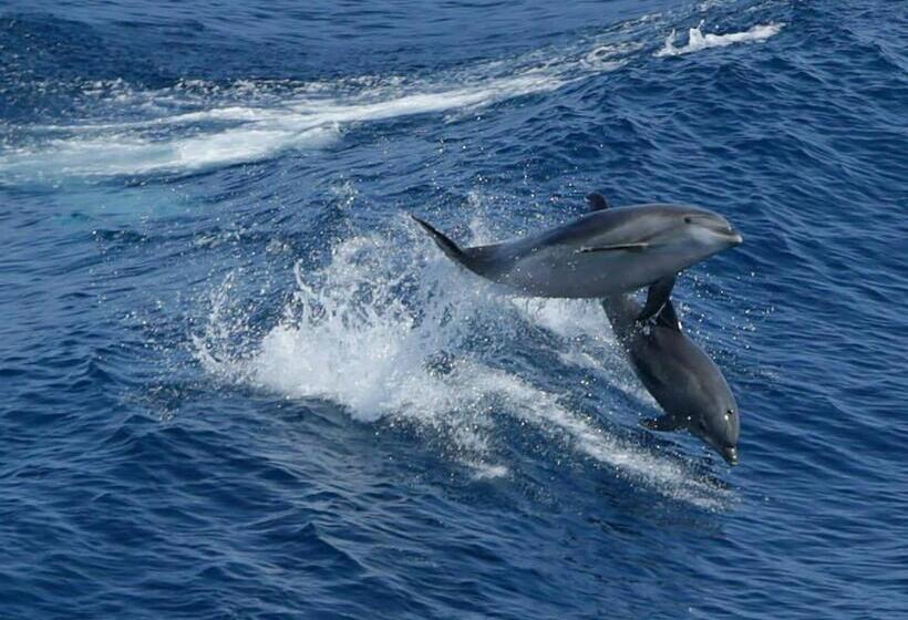 بنسيون Villa Cerro E Mar