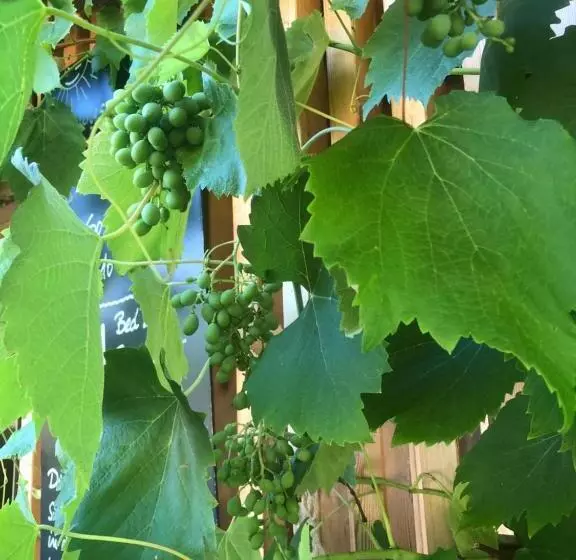 Hotelli Cafe Seeblick