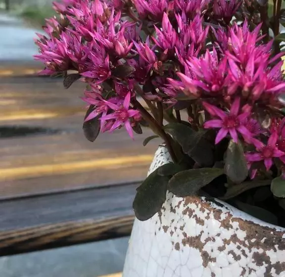 Hotelli Cafe Seeblick