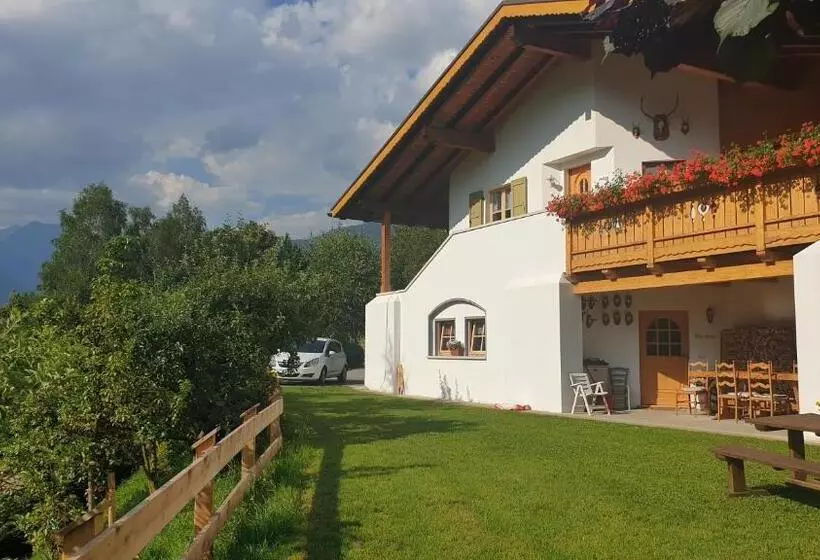 B&b Ai Larici
