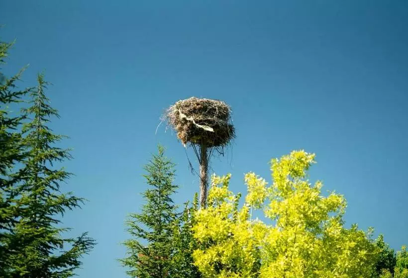 هتل Sunolus Vineyardhouse