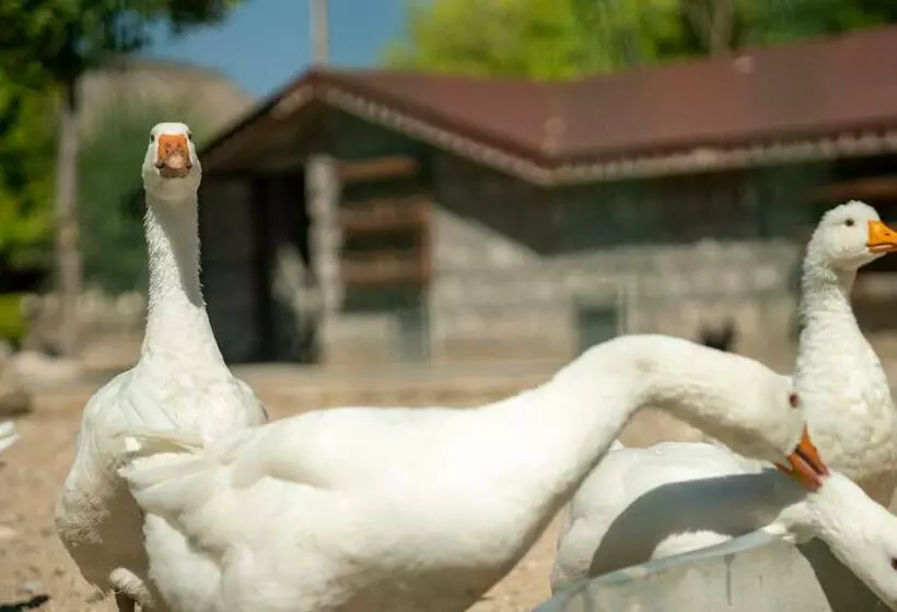 هتل Sunolus Vineyardhouse