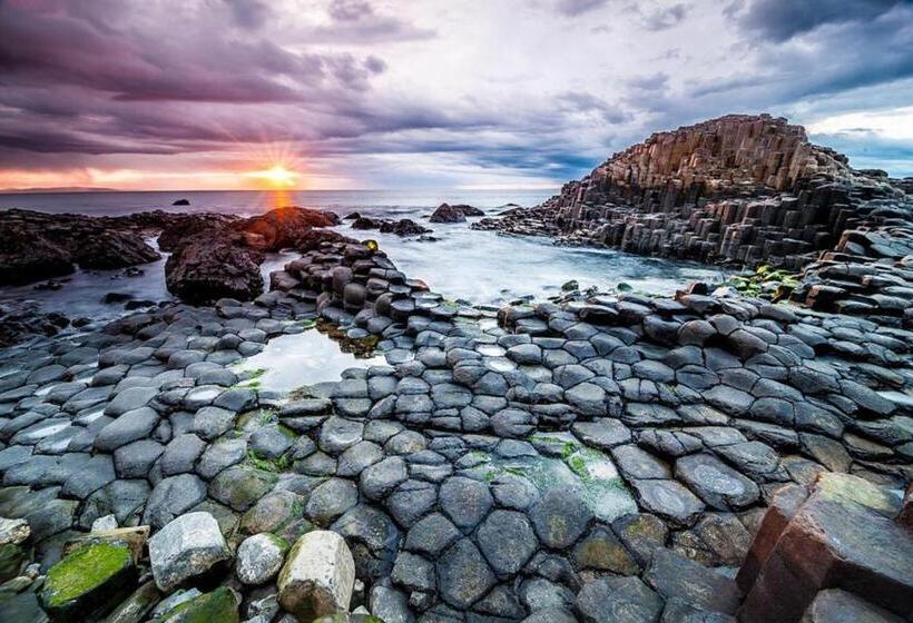 Bed and Breakfast Port 56