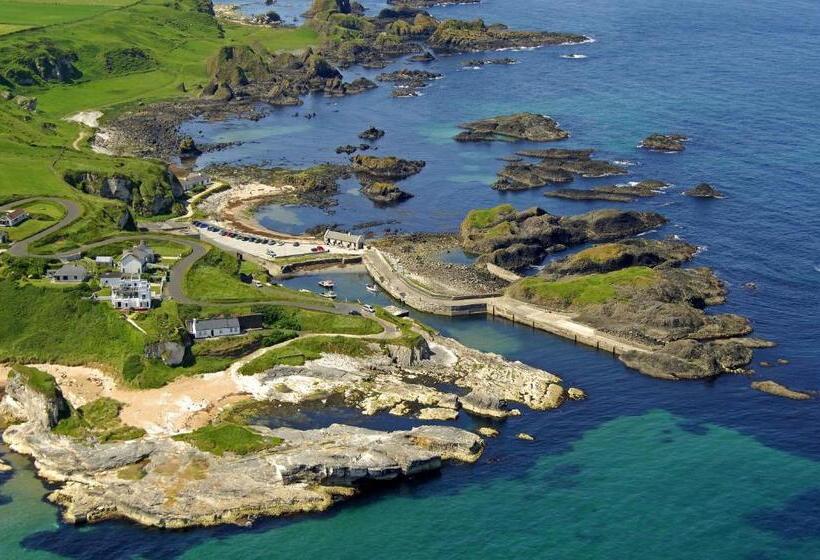 Bed and Breakfast Port 56