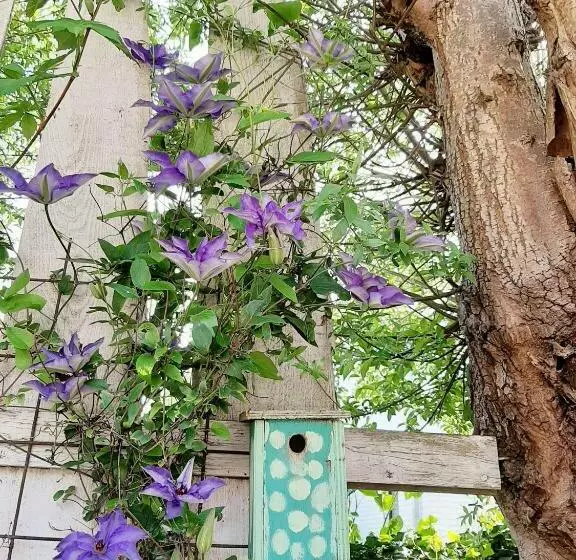 Aamiaismajoitus (B&B) Rêveries