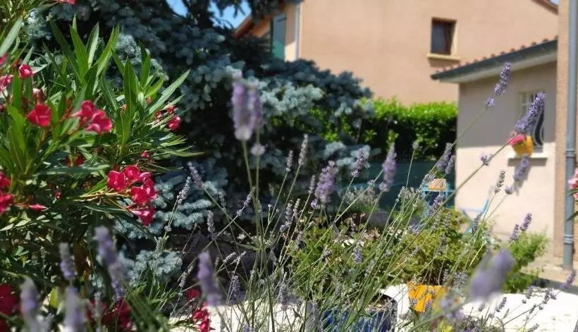 Aamiaismajoitus (B&B) Fleurs De Cosmos